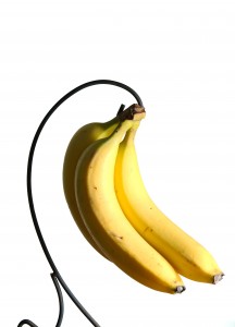 Image courtesy of stockfreeimages.com